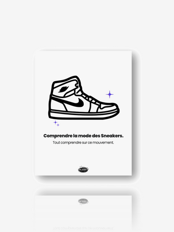 Comprendre la mode Sneakers